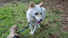 요덕골 유료낚시터 > 주말조황입니다, : 낚시사랑