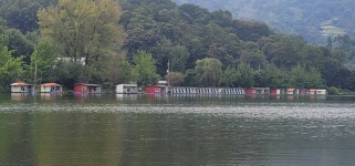 양평수곡낚시터 유료낚시터 > 한가위연휴 수곡낚시터 시작과 함께 62cm 대물붕어 기록갱신 꾸준한조황, 오늘과내일 연속 붕어방류 : 낚시사랑