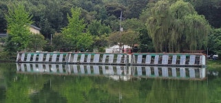 양평수곡낚시터 유료낚시터 > 한가위연휴 수곡낚시터 시작과 함께 62cm 대물붕어 기록갱신 꾸준한조황, 오늘과내일 연속 붕어방류 : 낚시사랑