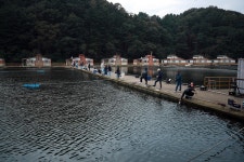 한터낚시터. 유료낚시터 > 한터 낚시터 2025 / 10 / 03 일 금요일 송어 향어 메기 방류했습니다 : 낚시사랑