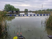 노진낚시터 유료낚시터 > ★★★★★노 진 낚 시 터 ㅡ토 종 잡 이 터 ㅡ 조 황 소 식 입 니 다.★★★★★ (토종붕어) 지속적인방류 : 낚..