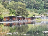 양평향리낚시터 유료낚시터 > 조황정보입니다. : 낚시사랑