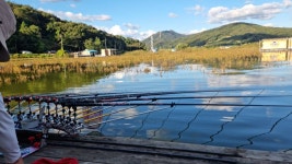 고삼지 양촌 유료낚시터 > 고삼지 상류권 사짜조황입니다. : 낚시사랑