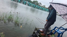 영종낚시터(구만정낚시터) 유료낚시터 > 2025.10.11(토) 가을비가 많이 오네요. 하지만 조황은 꾸준~!^^* : 낚시사랑