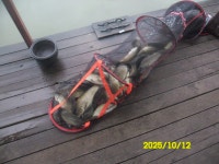 오빈낚시터 유료낚시터 > ~~~ 조황변화 없이 꾸준 합니다~~~ : 낚시사랑