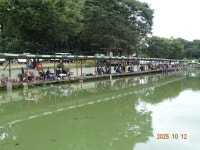 오빈낚시터 유료낚시터 > ~~~ 조황변화 없이 꾸준 합니다~~~ : 낚시사랑