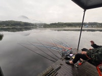 양평향리낚시터 유료낚시터 > 조황정보 입니다. : 낚시사랑