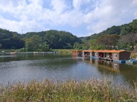 회암지 유료낚시터 > 안성 회암낚시터 조황정보^^ : 낚시사랑