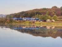 성호낚시터 유료낚시터 > 금요일조황 노지단체사용 성호낚시터. : 낚시사랑