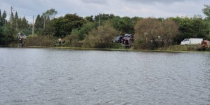 성호낚시터 유료낚시터 > 화요일 조황 성호낚시터 이천. : 낚시사랑