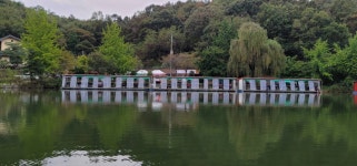 양평수곡낚시터 유료낚시터 > 시월愛 가을날의 힐링 양평 수곡낚시터 꾸준한 조황속 주말 힐링 소식, 붕어방류 : 낚시사랑