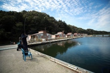 한터낚시터. 유료낚시터 > 한터 낚시터 2025년 10월24 (금요일) 송어 메기 향어 대량 방류했습니다 : 낚시사랑