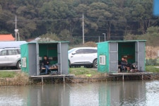 내동지 유료낚시터 > *** 토종붕어 4짜터 *** : 낚시사랑