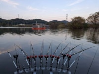 안골지 유료낚시터 > 10월29일 안골낚시터 조황정보입니다. : 낚시사랑