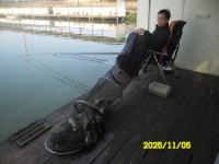 오빈낚시터 유료낚시터 > ~~~ 현재조황 좋습니다 ~~ : 낚시사랑