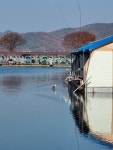 마전낚시공원 유료낚시터 > 11월에도 가을의 조황!! : 낚시사랑