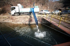 한터낚시터. 유료낚시터 > 2025 / 11 / 22 (토요일) 한터낚시터 메기 향어 송어 방류 했습니다 : 낚시사랑