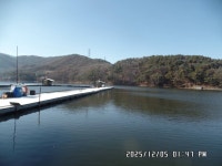 마둔지기 유료낚시터 > 마둔낚시터 빙어 방류 했어요 : 낚시사랑