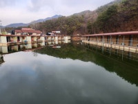 동교낚시터 유료낚시터 > 포천동교낚시터입니다. : 낚시사랑