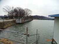 오빈낚시터 유료낚시터 > ~~~ 현재조황 좋습니다 ~~ : 낚시사랑