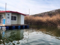 창신좌대 유료낚시터 > 2026년 봄의 시작~ : 낚시사랑