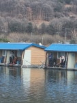 마전낚시공원 유료낚시터 > 활발한 붕어의 움직임 : 낚시사랑