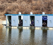 새마을낚시터 유료낚시터 > 꽃샘추위 호조황 소식 : 낚시사랑