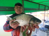 독정낚시터 유료낚시터 > 밤을 지샌 조사님께 조황을 여쭈니.... : 낚시사랑