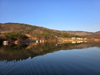 유료터정보 > 유료터점주조황 > 아산 산들낚시터 3월 20일 방류 및 조황정보