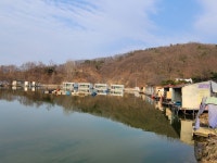 즐거운복상골 유료낚시터 > 올라 옵니다~~~ : 낚시사랑