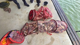 오궁낚시터. 유료낚시터 > 143수 대박조황입니다 : 낚시사랑