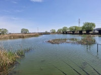 노진낚시터 유료낚시터 > ★★★★★노 진 낚 시 터 ㅡ토 종 잡 이 터 ㅡ 조 황 소 식 입 니 다.★★★★★ 붕어 지속적인방류 : 낚시사랑
