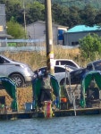 마전낚시공원 유료낚시터 > 연휴에도 꾸준함 : 낚시사랑