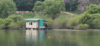 고삼지 양촌 유료낚시터 > 고삼지 연휴기간 사짜붕어 추가요!! : 낚시사랑