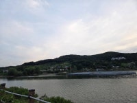 덕산지 유료낚시터 > 덕산지 조황사진입니다 : 낚시사랑