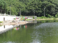 수초야 > 원주 고산낚시터 첫 조행기 : 낚시사랑