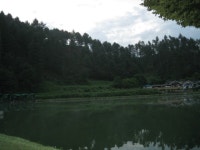 釣仙道人 > 가평 쇠고지, 죽산 장광, 안성 산우물.... 그리고 양평 대석 까지 : 낚시사랑