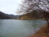 낚시를사랑하는사람 > 송석지 떡붕어낚시 : 낚시사랑