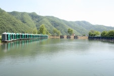 釣仙道人 > 빗줄기 속의 장찌 찌올림 [대석낚시터] : 낚시사랑