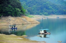 낚시사랑 > 파로호 형제낚시터 : 낚시사랑