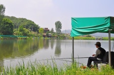 제이에스 > 주변 풍광과 물색이 좋고 편안한 시설이 갖추어진 곳 용인 산장 낚시터 : 낚시사랑