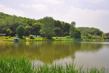 제이에스 > 주변 풍광과 물색이 좋고 편안한 시설이 갖추어진 곳 용인 산장 낚시터 : 낚시사랑