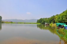 제이에스 > 주변 풍광과 물색이 좋고 편안한 시설이 갖추어진 곳 용인 산장 낚시터 : 낚시사랑