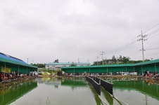 제이에스 > 장어 낚시의 다이나믹한 손맛과 입맛을 누릴 수 있는 곳 : 낚시사랑