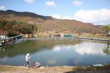 釣仙道人 > 10월 마지막 주말 고담낚시터, 대석낚시터 소식 : 낚시사랑