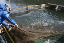 세븐 노영 > 곤지암 유정 낚시터 다녀왔습니다. : 낚시사랑