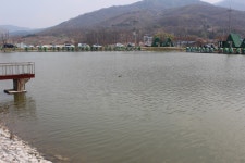 붕어도인 > 포천 마전낚시터 탐방~붕어도인 : 낚시사랑