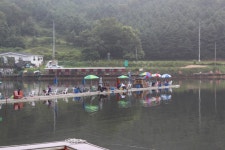붕어도인 > 다시찾은 용인 완장낚시터1호지- 찌톱만 2m20cm~초~장찌구경:붕어도인 : 낚시사랑