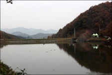 노아주 > 양평 백동낚시터 월척급 붕어들과 청정 계곡지의 만추 풍경/노아주의 가을 낚시여행 : 낚시사랑