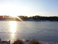 붕어연가 > 중부(성미지)낚시터 첫 물대포낚시.... : 낚시사랑